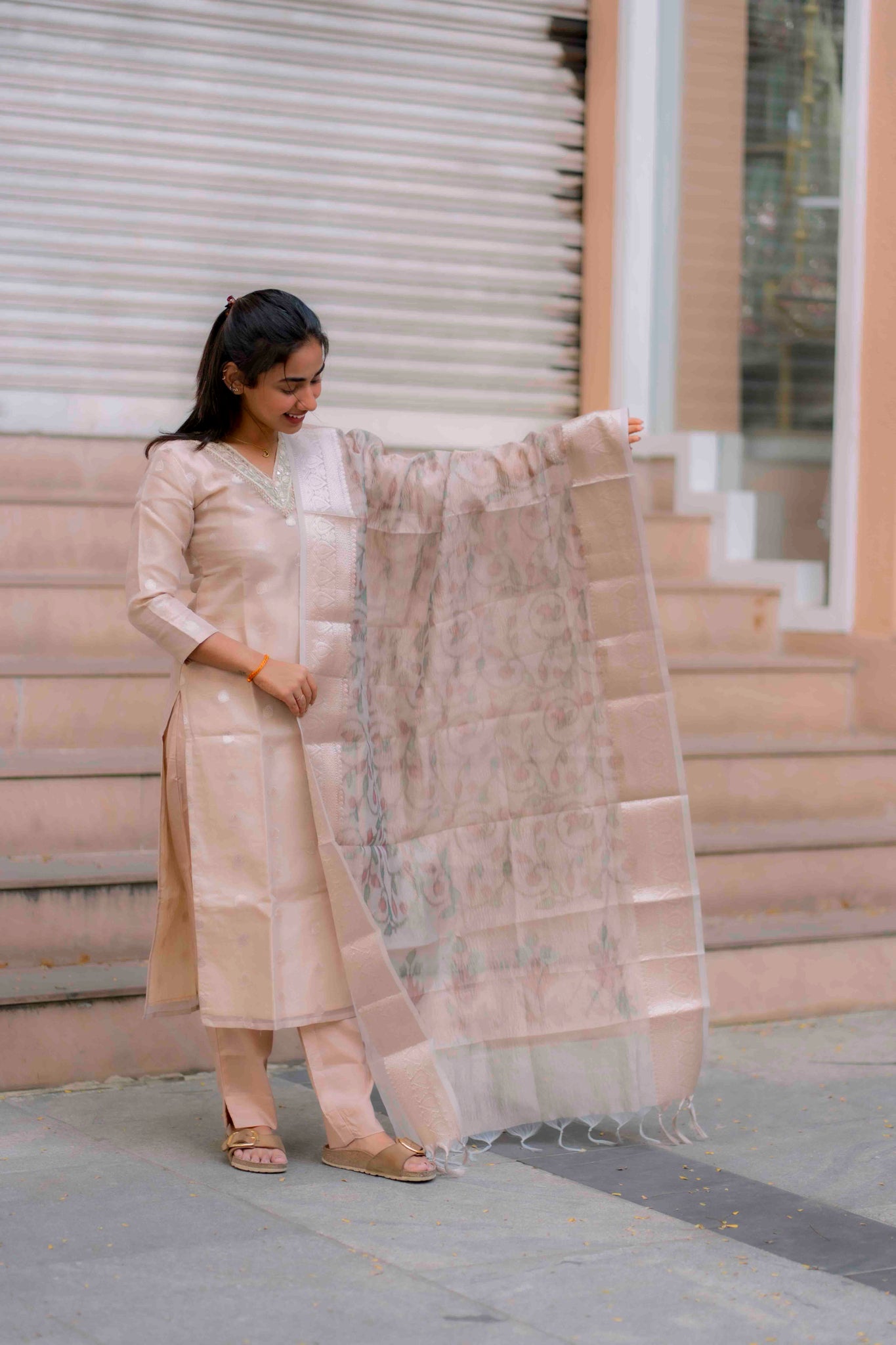 AA204 Beige Colour Organza Silk 3 Pc Set