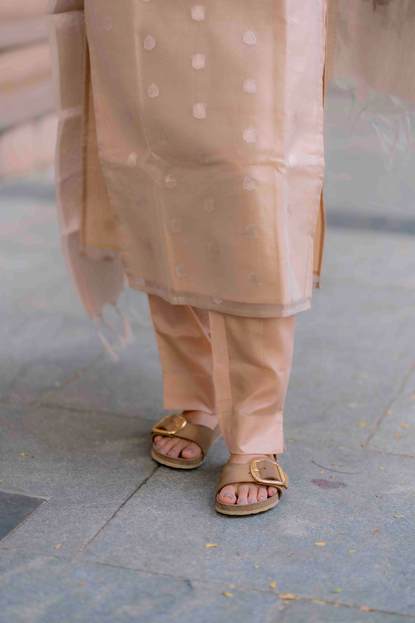 AA204 Beige Colour Organza Silk 3 Pc Set